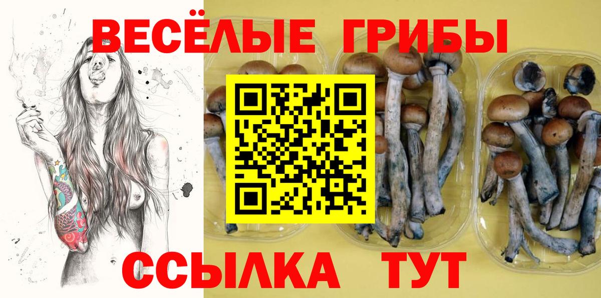 Псилоцибиновые грибы MAGIC MUSHROOMS Верхняя Пышма