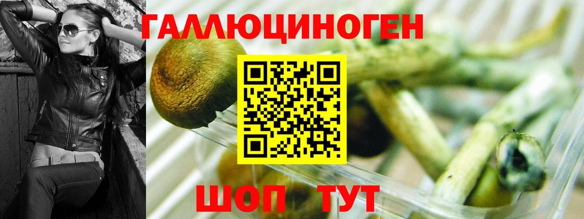 Псилоцибиновые грибы прущие грибы  Вход с VPN  Верхняя Пышма  Псилоцибиновые грибы MAGIC MUSHROOMS 