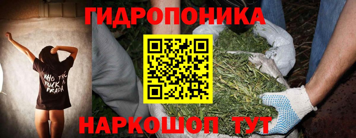 Канабис ГИДРОПОН Верхняя Пышма